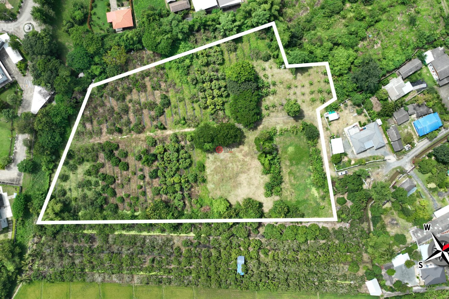 泰国Chang Wat Chiang MaiChiang Mai的住宅用地,Doi Saket District,编号76917077