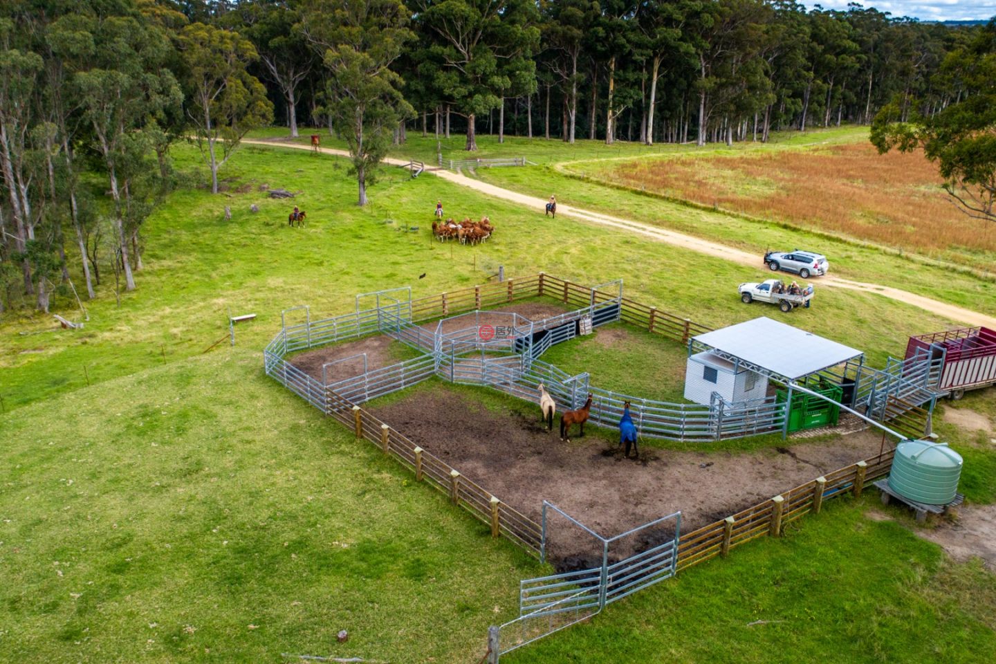 澳大利亚新南威尔士州Willsons Downfall的农场,224 Wallaroo Range Road,编号78492679