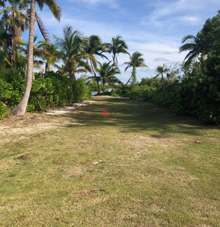 开曼群岛的公寓，112，编号78514580