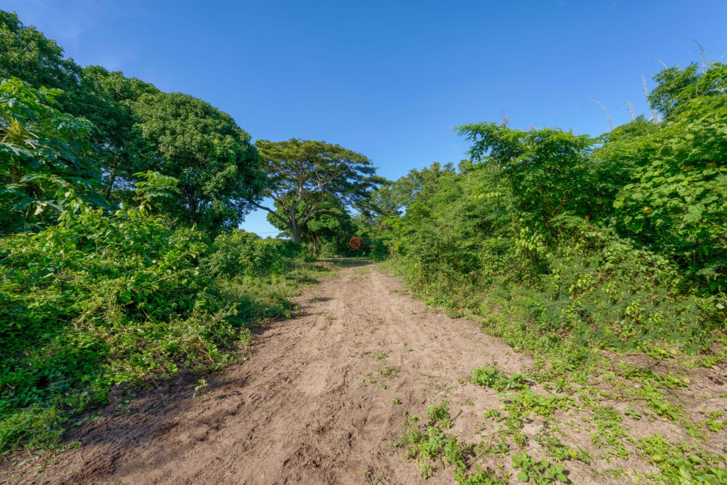 波多黎各Puerto RicoVieques的住宅用地，Lot 1 78 Puerto Ferro，编号76436230