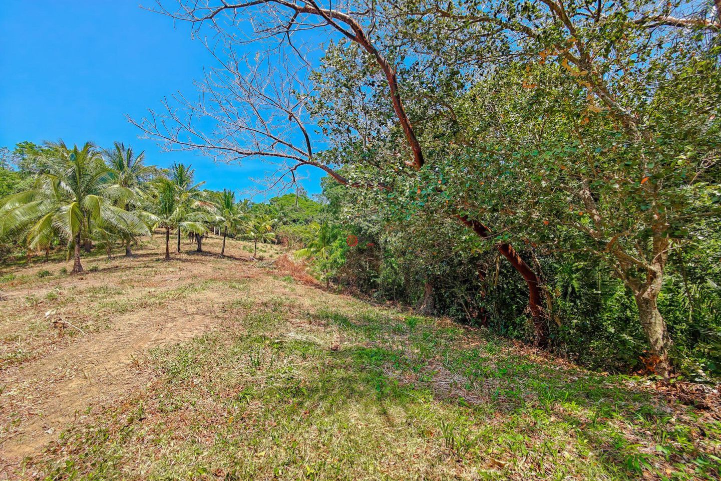 洪都拉斯海湾群岛Roatán的住宅用地，Beautiful Oceanfront Bluff Between West End & West Bay，编号78338279