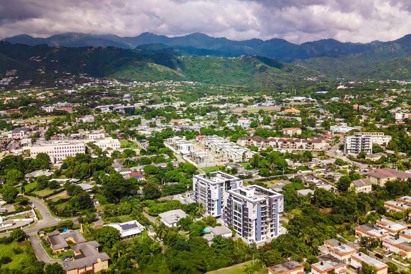 牙买加KingstonKingston的公寓，39 Wellington Drive，编号77808911