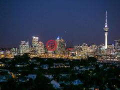 新西兰AucklandAuckland的公寓，Rawene Rd，North Shore City，编号52939920