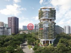新加坡中星加坡新加坡的公寓，柏皓，编号67486392