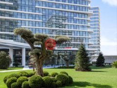 土耳其伊斯坦布尔伊斯坦布尔的公寓，merkez，编号74557233