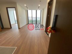 越南Hồ Chí Minh cityHo Chi Minh的公寓，Nguyễn Văn Linh Street，编号71353229