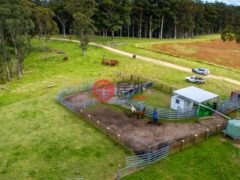 澳大利亚新南威尔士州Willsons Downfall的农场，224 Wallaroo Range Road，编号78492679