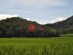 澳大利亚昆士兰麦凯的农场，384 Langdon Lumburra Road GARGETT QLD 4741，编号11461962