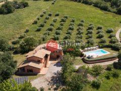 意大利PescaraCittà Sant'Angelo的独栋别墅，Via Colle di Sale，编号78037194