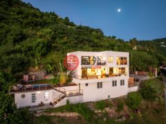 英属维尔京群岛的多单元，Cannon Point Villa，编号76553244
