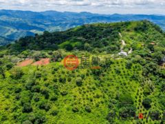 居外网在售哥斯达黎加NaranjalNaranjal的住宅用地