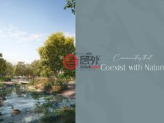 阿联酋迪拜迪拜的独栋别墅，The Valley，编号78501636