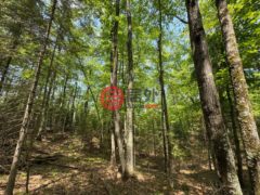 美国威斯康星州Minocqua的住宅用地，None Lot 127 WOODHILL CT，编号78136220