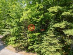 美国威斯康星州Minocqua的住宅用地，None Lot 127 WOODHILL CT，编号78136220
