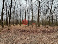 美国威斯康星州克兰登的住宅用地，None On ALLEN RD，编号77893990