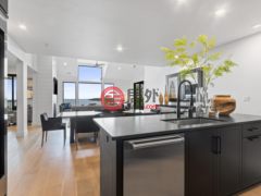 美国威斯康星州希斯特贝的公寓，10612 Shore View Place Unit 303，编号77810019
