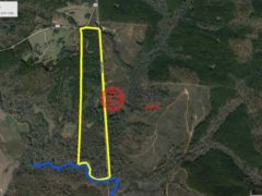美国阿拉巴马州罗阿诺克的住宅用地，63 Ac. COUNTY ROAD 684，编号77510922