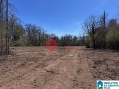 美国阿拉巴马州罗阿诺克的住宅用地，63 Ac. COUNTY ROAD 684，编号77510922