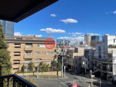 日本TokyoMinato的公寓，编号78100499