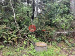 美国俄勒冈州North Bend的住宅用地，None 94253 MISTY RIDGE LN，编号78361531