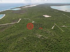 巴哈马的公寓，23 Acre Oceanview Parcel，编号78378458