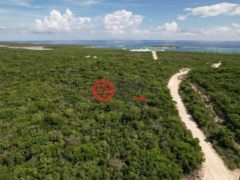 巴哈马的公寓，23 Acre Oceanview Parcel，编号78378458