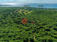 波多黎各Puerto RicoVieques的住宅用地，Lot 1 78 Puerto Ferro，编号76436230
