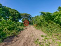 波多黎各Puerto RicoVieques的住宅用地，Lot 1 78 Puerto Ferro，编号76436230