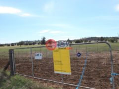 澳大利亚新南威尔士州的农业用地，Lot 4 Mount Tallabung Road，编号11468612