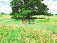 美国德克萨斯州Waelder的住宅用地，None 1825 Armstrong-Derry Road，编号77387883