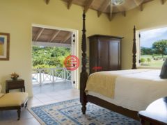 圣克里斯托弗和尼维斯岛NevisSt. Thomas Lowland的独栋别墅，Nevisian Retreat Palm Grove Villa 1437，编号77810516