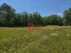 美国威斯康星州阿伯威泰的住宅用地，None Off HWY 51，编号78412494