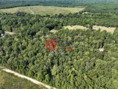 美国阿拉巴马州奥哈治的住宅用地，ROCK SPRINGS ROAD，编号75281099