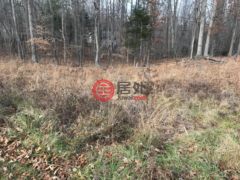 美国佛吉尼亚州鲁斯特堡的农业用地，Reynolds Drive，编号76565315