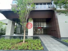 日本JapanTokyo的公寓，编号77948266
