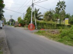 印尼Jawa Timur諫義里的住宅用地，编号17753351