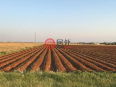 美国德克萨斯州拉伯克的农业用地，Fm 2641，编号76551674