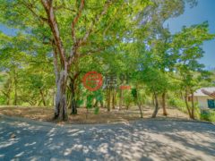 洪都拉斯海湾群岛Roatán的住宅用地，Lot 35 in the Prestigious Lawson Rock，编号76794716