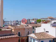 西班牙Balearic IslandsPalma的公寓，Palma，编号77884939