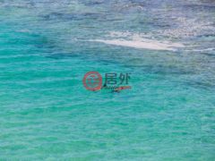 美国夏威夷檀香山的公寓，编号67596646