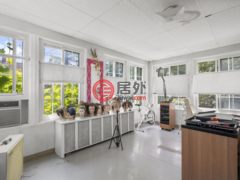 美国纽约州新罗谢尔的独栋别墅，16 Wilson Drive，编号78330147