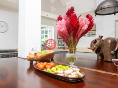 牙买加SurreyKingston的多单元，1 Pimento Hill Reading，编号77662980