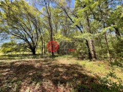 美国佐治亚州奥茨罗克尼的住宅用地，None 1975 Rook Rd，编号77696575
