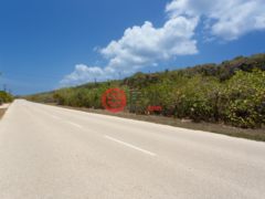 开曼群岛的住宅用地，South Side West Road，编号78043521
