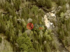 美国明尼苏达州Orr的住宅用地，None Tbd Willow River & Greaney Rd，编号77362544