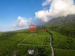 圣克里斯托弗和尼维斯岛NevisSt. Thomas Lowland的住宅用地，Cotton Heights Sunset Ridge Road，编号71695948