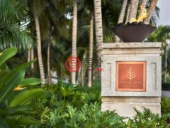 圣克里斯托弗和尼维斯岛NevisSt. Thomas Lowland的公寓，Nevis Peak Residences 3-103，编号76570203