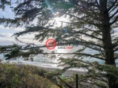 加拿大不列颠哥伦比亚省Sooke的独栋别墅，8519 West Coast Road，编号76750167