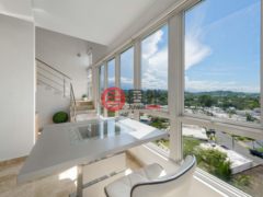 波多黎各Puerto RicoGuaynabo的公寓，270 San Ignacio Ave. PH L-512，编号77728509