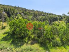 美国科罗拉多州斯廷博特斯普林斯的住宅用地，2725 Ski Trail Lane，编号78498200